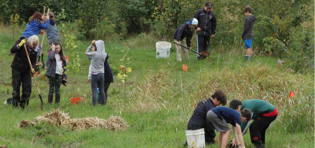 A group of students are bent over planting trees in a field
