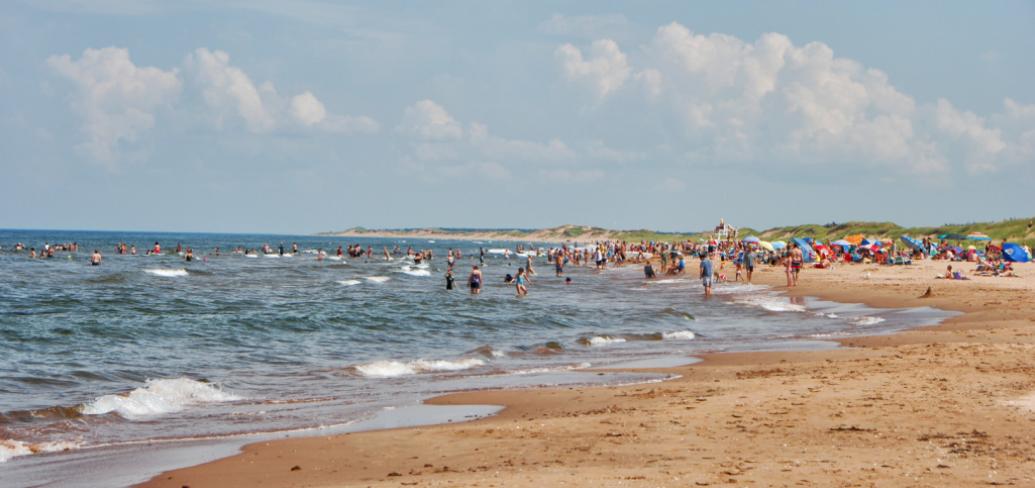 image of a beach with a people on it.