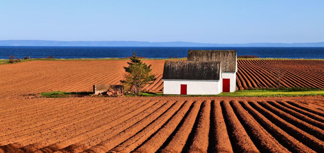 Image showing a red dirt potato field with the water in the background