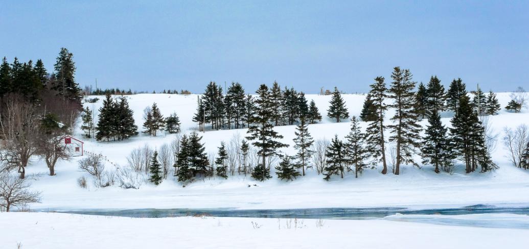 image of a snowy field with trees and a snow covered river