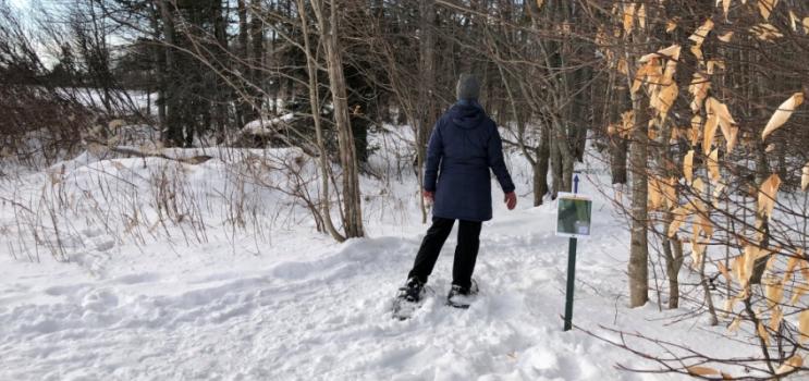 Snowshoeing on community trail