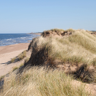 Image of dunes and a beach