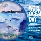 Graphic image of the world with ocean species illustrated. Text reads "World Oceans Day" June 8. Celebrate #worldoceansday #CdnOceans and Canada 150 logo