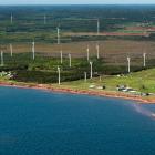 The North Cape Wind Farm has 16 turbines that are capable of generating 10.56 MWs.