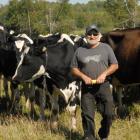 Johnny Gallant avec son vaches au pâturage en été.