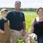 Jonathan and Katie MacLennan with son Gabriel and their dog stand in a potato field. Photo credit to Dan MacKinnon Photography