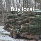 PEI Christmas tree farm and trees baled for sale with "Buy Local" badge in middle of the image