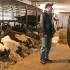 Photo shows two men talking in a dairy barn