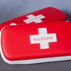 image of a small red and white medical kit