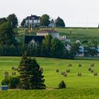 Rural PEI landscape 