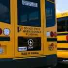 image from the rear of two school buses parked beside each other.