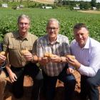 Four men side by side holding potatoes in a potato field