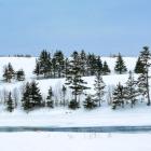 image of a snowy field with trees and a snow covered river