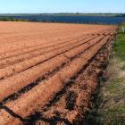 agriculture field in St. Peters, Prince Edward Island