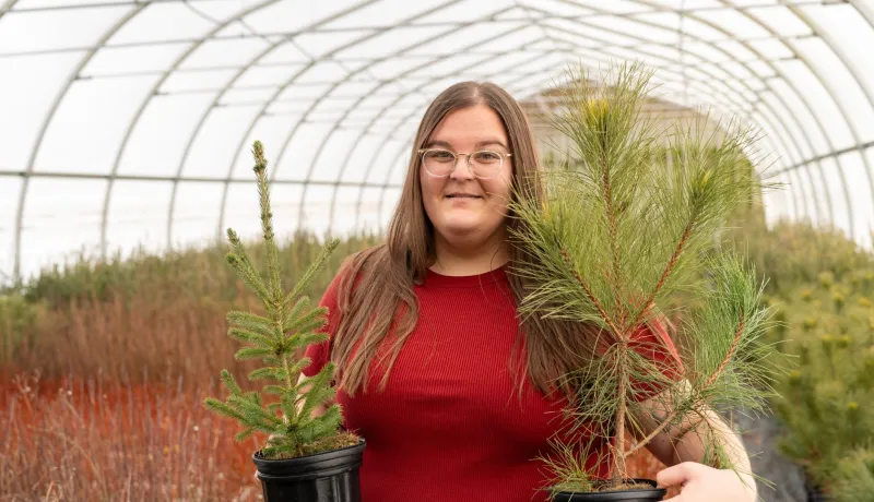 Une femme portant une chemise rouge tient un pin et un épicéa ...