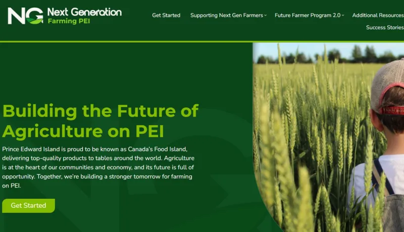 Une capture d'écran du site web montre un garçon debout dans un champ de blé.