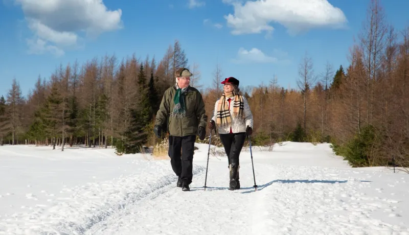 And elderly couple hiking in winter with ski poles.