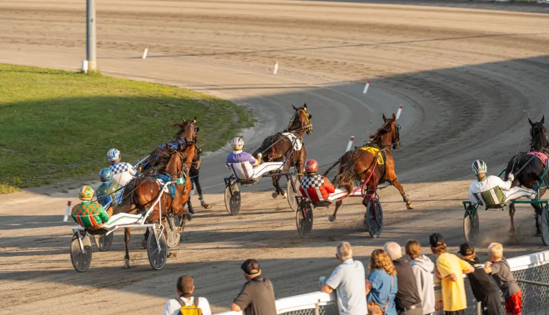 Quatre chevaux et des coureurs de trot attelé courent autour de la piste à l&#039;Exposition de Charlottetown.