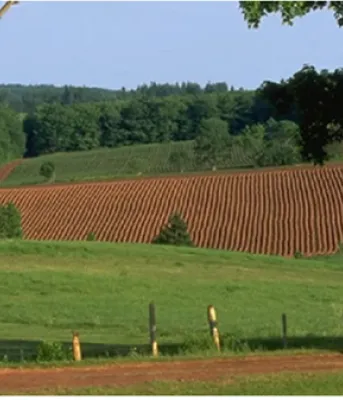 Landscape photo of a farmer's field