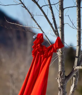 The Red Dress campaign honours the lives of Missing and Murdered Indigenous Women, Girls, and Two-Spirited People (MMIWG2S+).