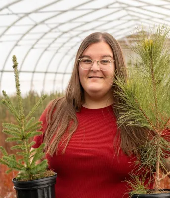 A woman with a red shirt holds a pine tree and spruce tree in either hand.
