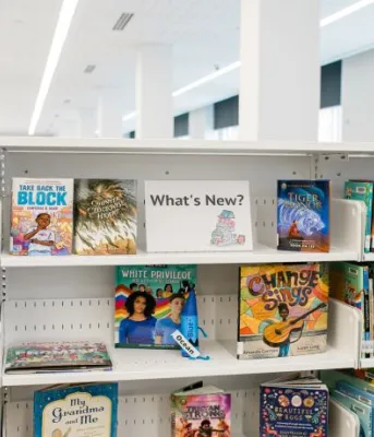 Library shelves with books