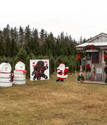 Some Christmas themed signs with trees in the background.