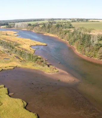 An aerial view of the Basin Head Marine Protected Area.