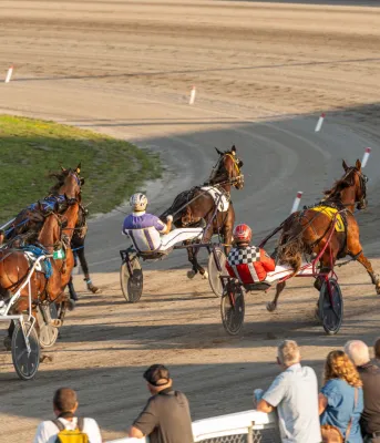 Quatre chevaux et des coureurs de trot attelé courent autour de la piste à l'Exposition de Charlottetown.