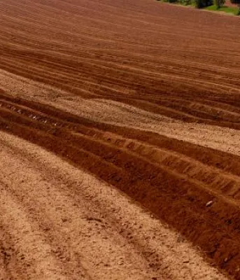 Photo d'un champ labouré au sol rouge