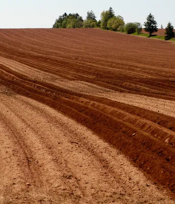 Farm field with red soil