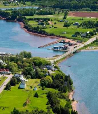 Aerial view of Stanley Bridge