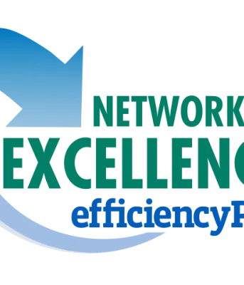 Network of Excellence logo