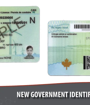 Photos shows the new driver&#039;s licence design