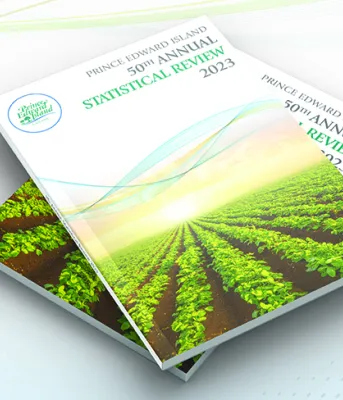 image of a couple of documents 