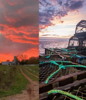 multiple image of a cow, sunset, lobster traps on a boat and two toddlers in yellow jackets in a red dirt field.