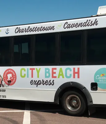 City Beach Express 