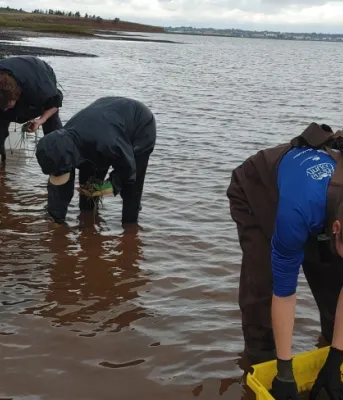 Watershed staff and volunteers working along the coastline