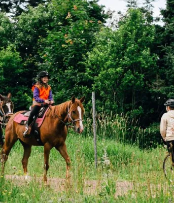 image of two people on horses on a trail meeting a person on their bike