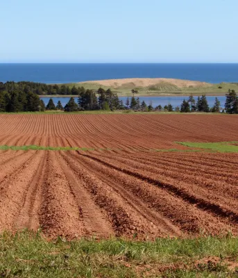 image of a plwoed field with a sand dune in the background