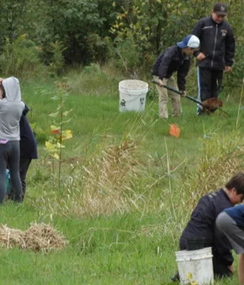A group of students are bent over planting trees in a field