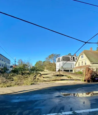 street with power lines down