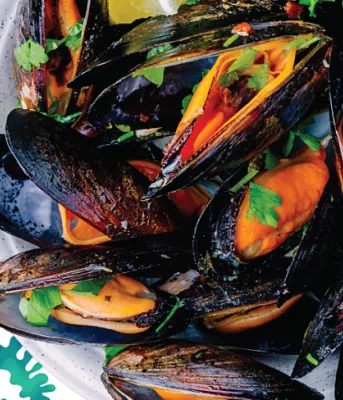 A photo of an aquaculture exhibit showing mussels on a plate with colourful streamers around it