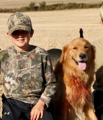 image of two youths with their dogs in a field of geese