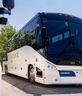 image of three motorcoach buses parked beside each other in a parking lot on a summer day