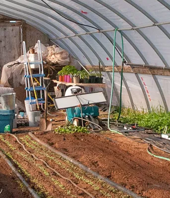 Sandy MacKay waters plants in his greenhouse