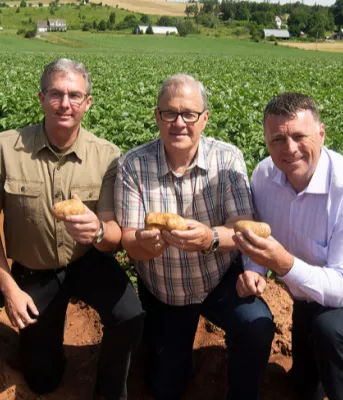 Four men side by side holding potatoes in a potato field