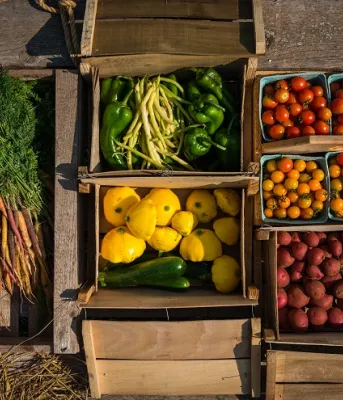 Photo of carrots, peppers, beans, tomatoes, potatoes and squash