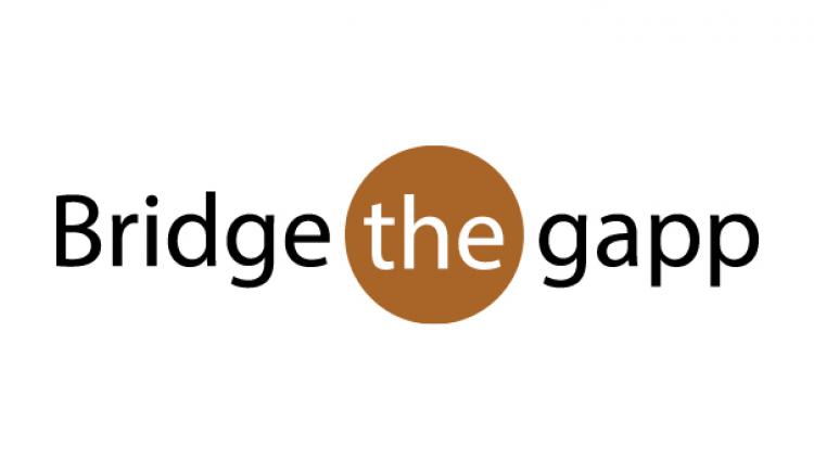 Bridge the gapp