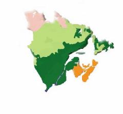 A map on PEI, nova Scotia and New Brunswick showing the range of the Acadian Forest Region
